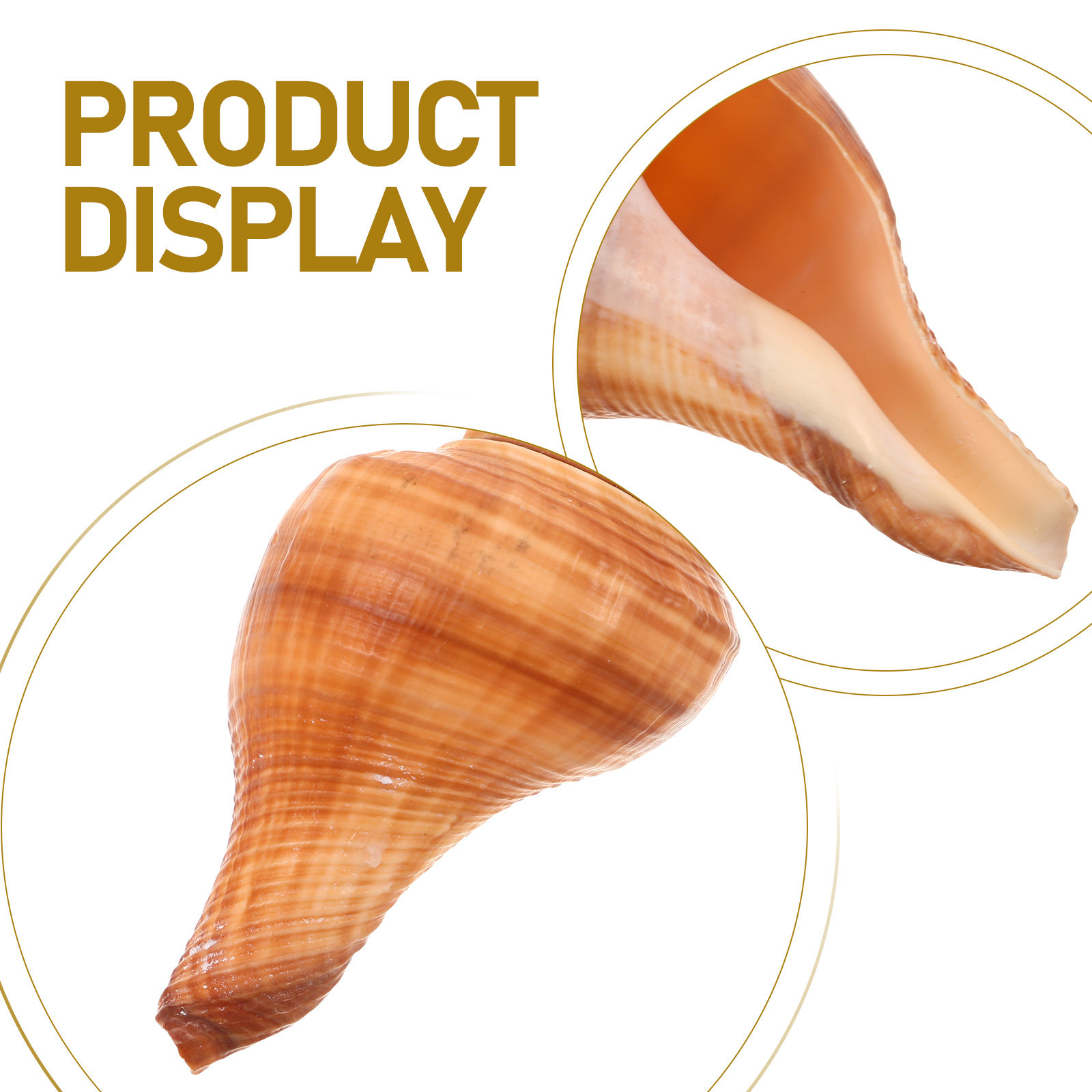 5Pcs Natural Conch Shell Whist - Emergency Whistle Loud のレビューと価格