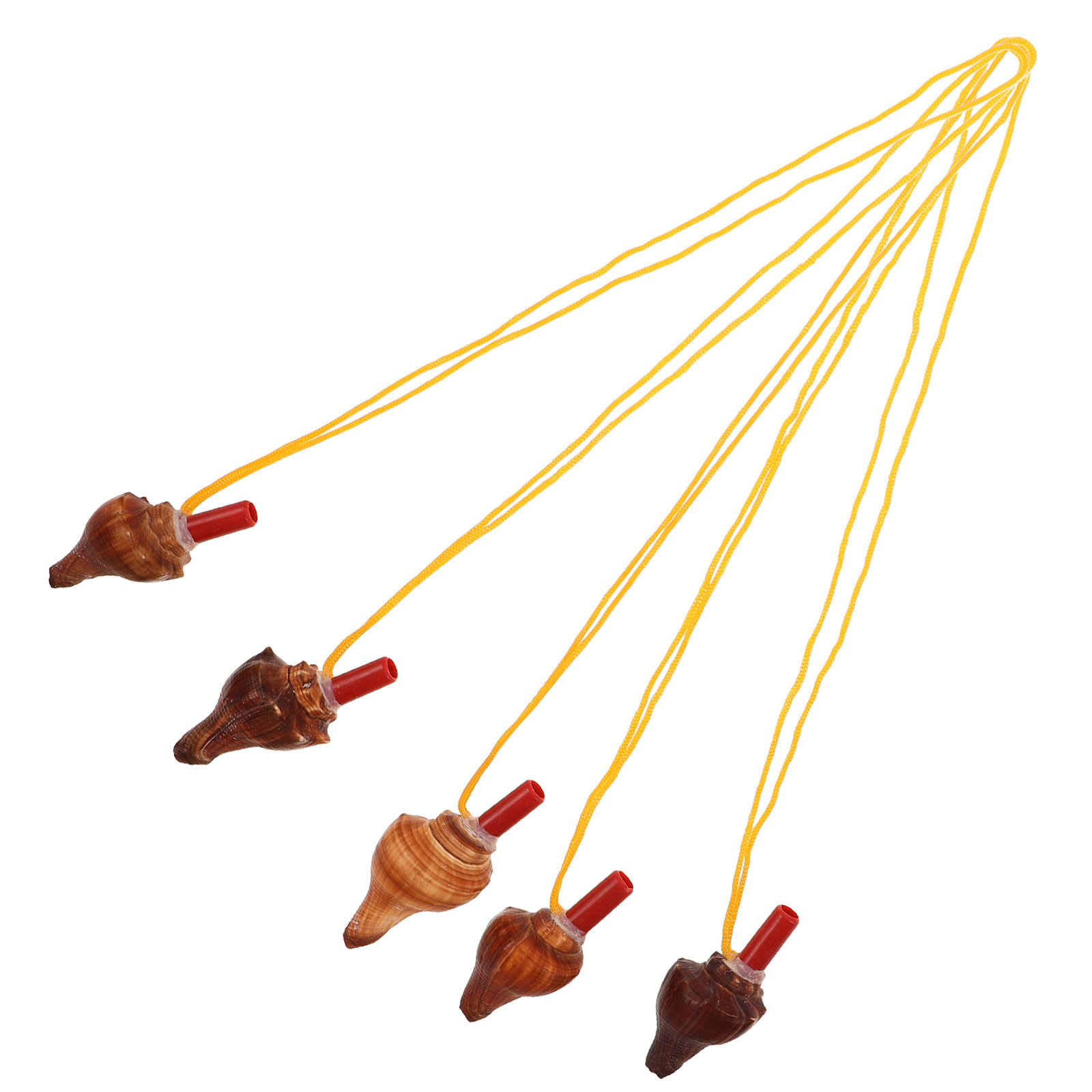 5Pcs Natural Conch Shell Whist - Emergency Whistle Loud のレビューと価格