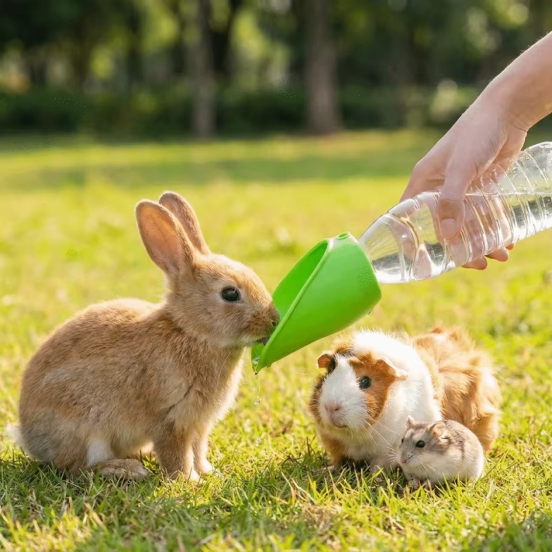 Dog cat Travel Water Bottle  P - Water Bag Collapsible のレビューと価格