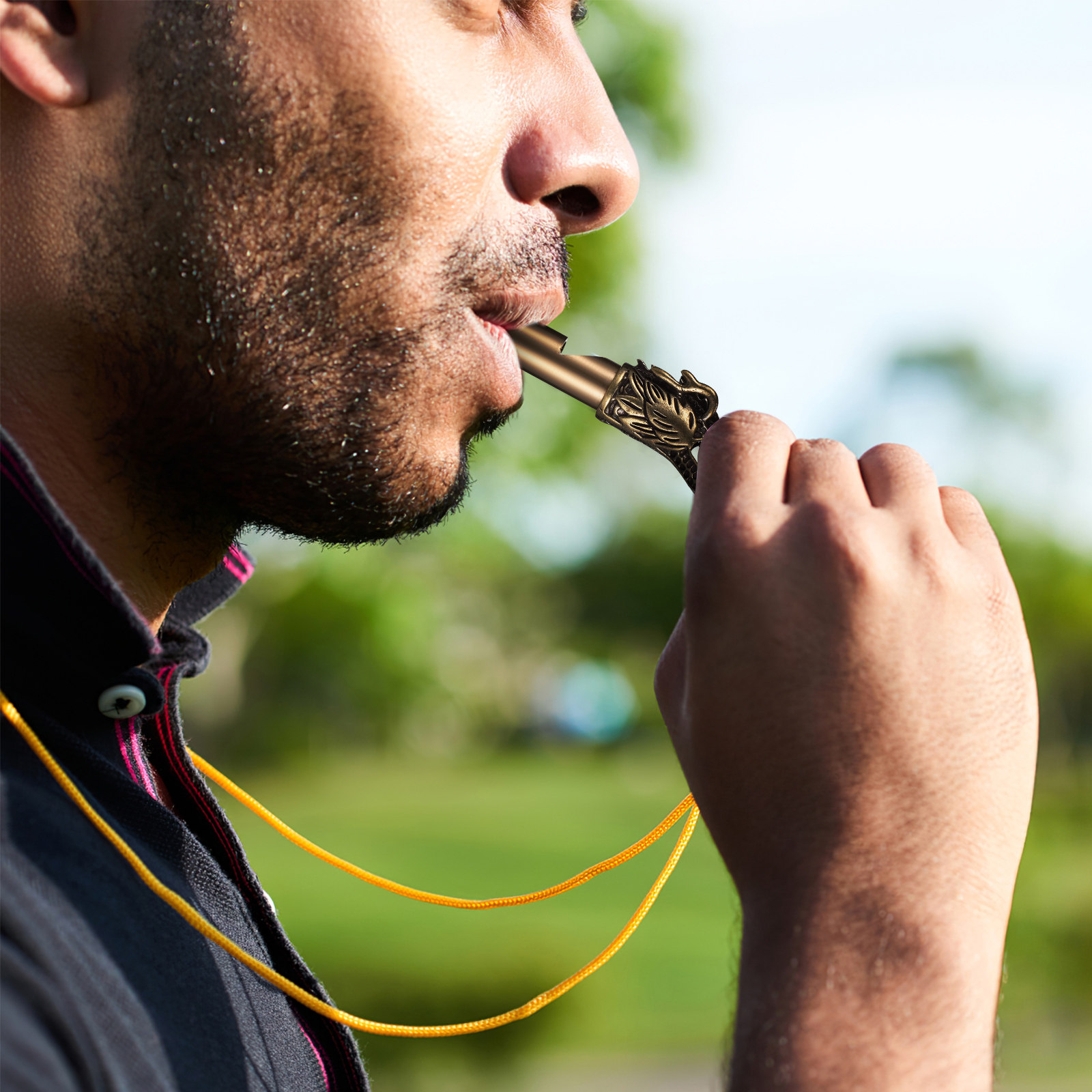 3Pcs Chinese Dragon Whistles B - Emergency Whistle Loud のレビューと価格